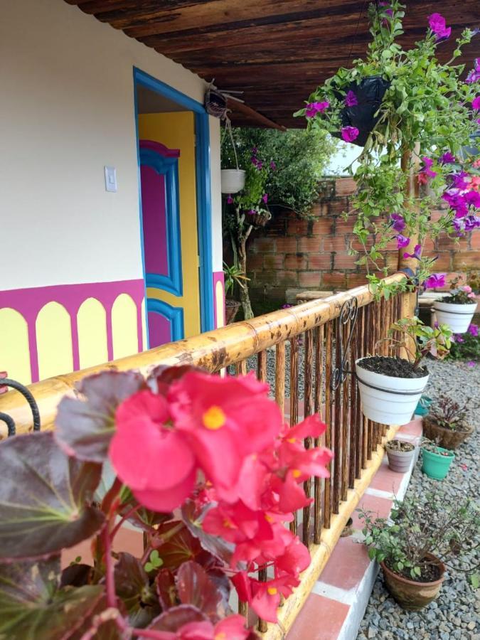 Hotel Hostal Casa Madrigal à Filandia Extérieur photo